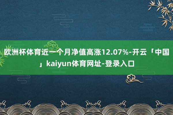 欧洲杯体育近一个月净值高涨12.07%-开云「中国」kaiyun体育网址-登录入口