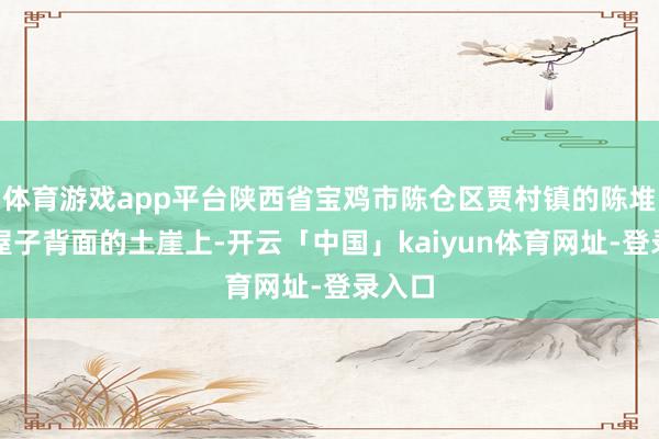 体育游戏app平台陕西省宝鸡市陈仓区贾村镇的陈堆发现屋子背面的土崖上-开云「中国」kaiyun体育网址-登录入口