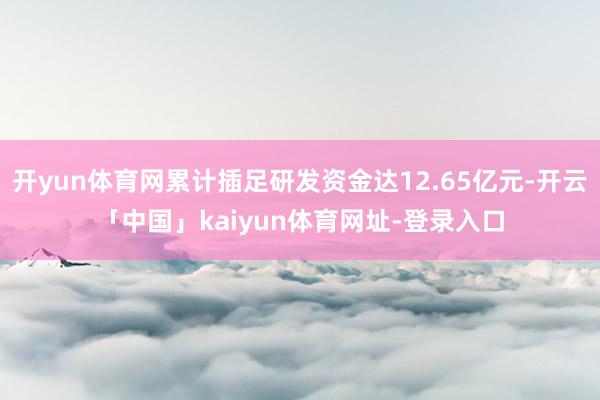 开yun体育网累计插足研发资金达12.65亿元-开云「中国」kaiyun体育网址-登录入口