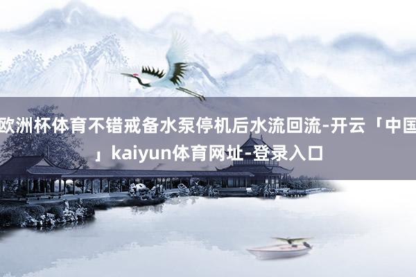 欧洲杯体育不错戒备水泵停机后水流回流-开云「中国」kaiyun体育网址-登录入口