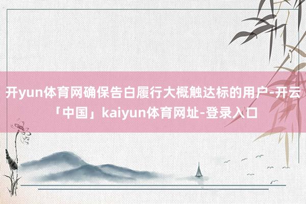 开yun体育网确保告白履行大概触达标的用户-开云「中国」kaiyun体育网址-登录入口