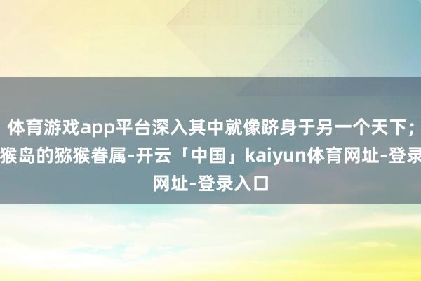 体育游戏app平台深入其中就像跻身于另一个天下；南湾猴岛的猕猴眷属-开云「中国」kaiyun体育网址-登录入口