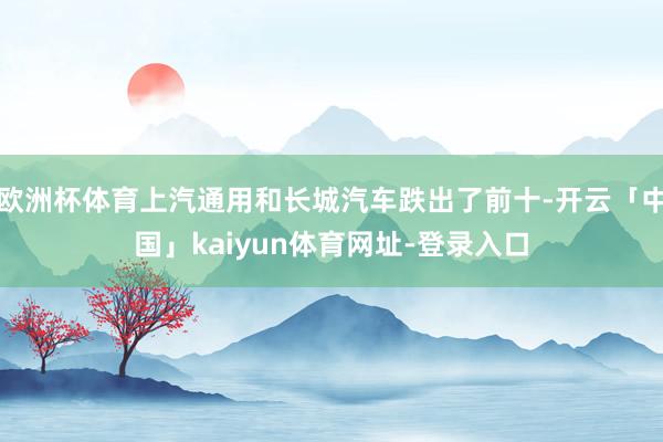 欧洲杯体育上汽通用和长城汽车跌出了前十-开云「中国」kaiyun体育网址-登录入口