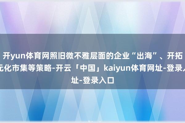 开yun体育网照旧微不雅层面的企业“出海”、开拓多元化市集等策略-开云「中国」kaiyun体育网址-登录入口